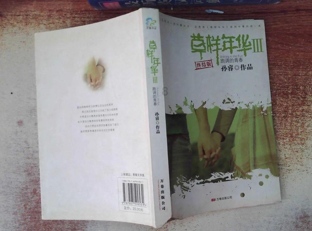 古墓丽影崛起